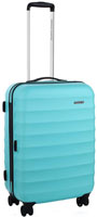 Фото - Чемодан American Tourister Palm Valley  61
