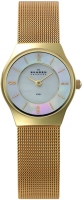 Фото - Наручные часы Skagen 233XSGG 