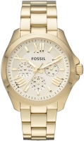 Фото - Наручные часы FOSSIL AM4510
