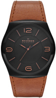 Фото - Наручные часы Skagen SKW6040