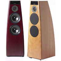 Фото - Акустическая система Meridian DSP 5200