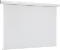 Фото - Проекционный экран Euroscreen Thor Electric 240x135