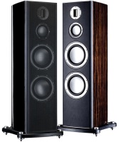 Фото - Акустическая система Monitor Audio Platinum PL300