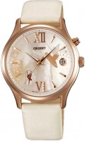 Фото - Наручные часы Orient DM01002W 