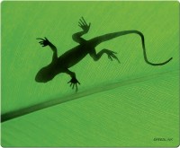 Фото - Коврик для мышки Speed-Link Gecko 