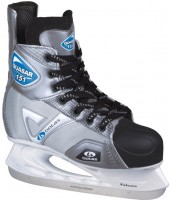 Фото - Коньки Botas Quasar 151 