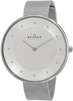 Фото - Наручные часы Skagen SKW2140 