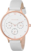 Фото - Наручные часы Skagen SKW2311 