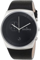 Фото - Наручные часы Skagen SKW6070 