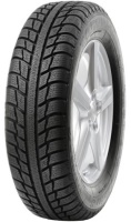 Фото - Шины Targum Winter 3 205/55 R16 91T 