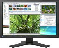 Фото - Монитор Eizo FlexScan SX2461W 24&nbsp;"  черный