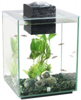 Фото - Аквариум HAGEN Fluval Chi 19 л