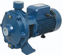 Фото - Поверхностный насос Delfin 2DCm25