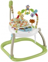 Фото - Ходунки Fisher Price CHN38 