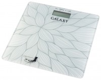 Весы Galaxy GL4807 