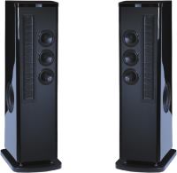 Фото - Акустическая система T+A Solitaire CWT 500 SE