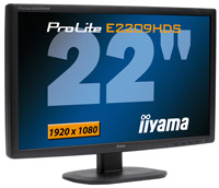 Фото - Монитор Iiyama ProLite E2209HDS 22 "