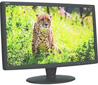 Фото - Монитор NEC V221W 22 "  черный