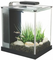 Фото - Аквариум HAGEN Fluval Spec 10 л