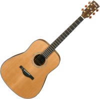 Фото - Гитара Ibanez AW3050