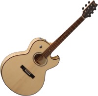 Фото - Гитара Washburn EA20SDL