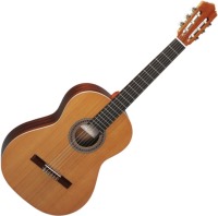Фото - Гитара Perez 610 Cedar