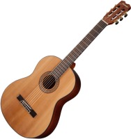 Фото - Гитара Takamine Jasmine JC27