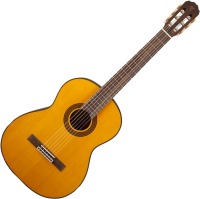 Фото - Гитара Takamine GC5 