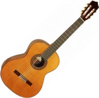 Фото - Гитара Perez 650 Cedar