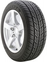 Фото - Шины Bridgestone Potenza G019 205/55 R16 91H