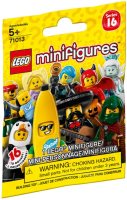 Фото - Конструктор Lego Minifigures Series 16 71013 