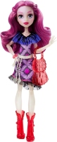 Фото - Кукла Monster High First Day of School Ari Huntington DPL86 