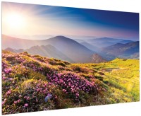 Фото - Проекционный экран Projecta FullVision 350x219 