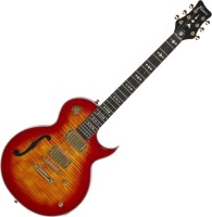 Фото - Гитара Framus AK 1974 Custom