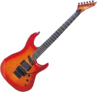 Фото - Гитара Washburn EC29