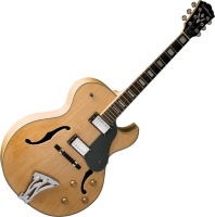 Фото - Гитара Washburn J3 