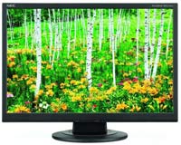 Фото - Монитор NEC AS191WM 19 "  черный