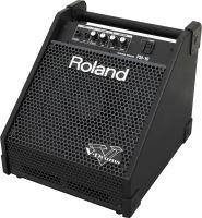 Фото - Акустическая система Roland PM-10 