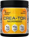 Powerful Progress Crea-Tor Micronized 300 г