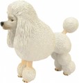 4D Master Poodle 26537