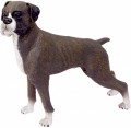 4D Master Boxer 26489