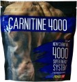 Power Pro Carnitine 4000 500 g 500 г