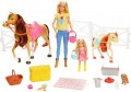 Barbie Horses and Accessories FXH15 