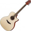 Crafter HG-250CE 