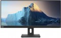 Lenovo E29w-20 29 "  черный