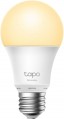 TP-LINK Tapo L520E