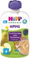 Hipp Organic Hippis Fruit Porridge 6 100 