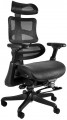 Unique Ergothrone with Footstool
