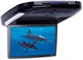 Alpine PKG-2100P