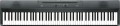 Korg Liano
